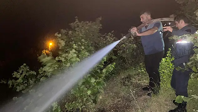 Bartın'da rüzgarın kopardığı elektrik telleri ormanda yangın çıkardı
