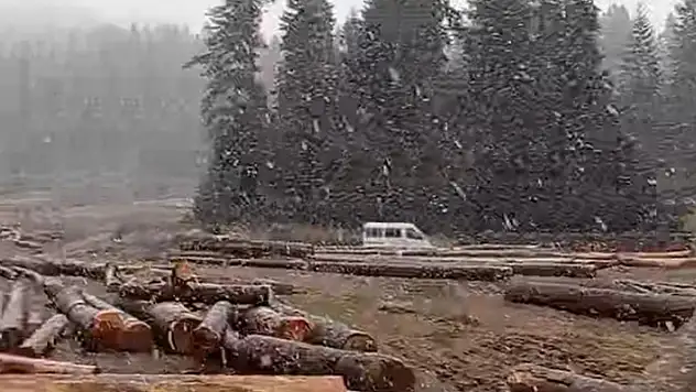 Bartın'ın yüksek kesimlerine mevsimin ilk karı düştü
