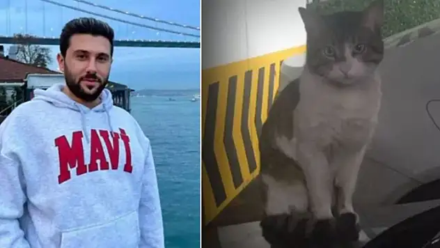 Başakşehir'de kediyi tekmeleyerek öldüren sanığa 2 yıl 6 ay hapis cezası verildi