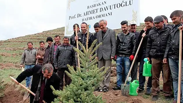 Başbakan Davutoğlu adına hatıra ormanı