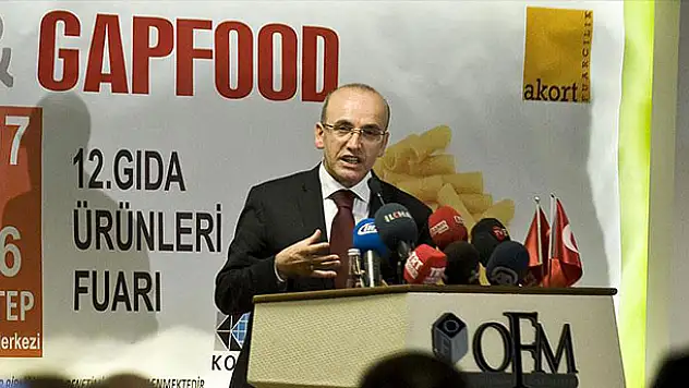 Başbakan Yardımcısı Şimşek: Yer altı zenginliklerine rağmen IMF'ye el açan komşularımız var