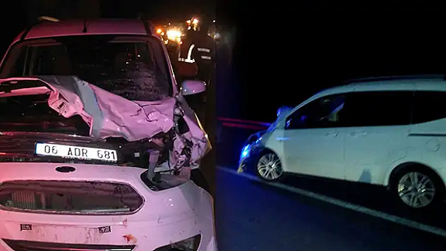 Başıboş camız sürüsü kazaya neden oldu