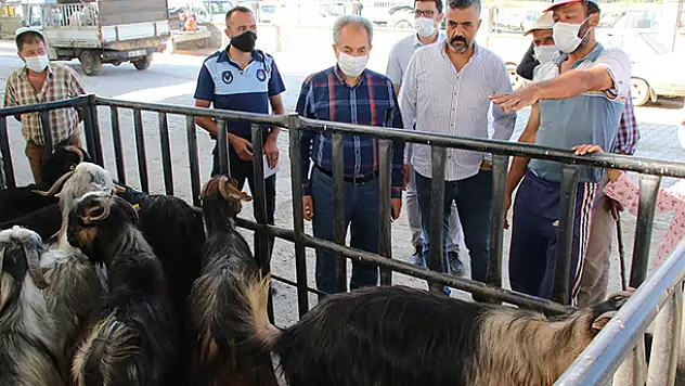 Başkan Akkaya'dan hayvan pazarına ziyaret