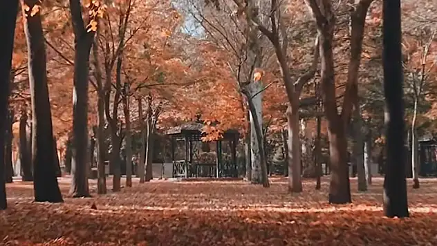 Başkan Altay'dan sonbahar paylaşımı