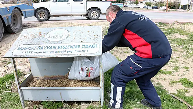 Başkan Kavuş: 'Evde kalan hayvanseverlerin aklı sokak hayvanlarında kalmasın'