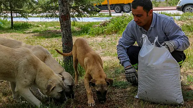 Başkan Kavuş, 'Sokaktaki can dostlarımızı unutmayalım'