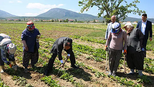 Başkan Özaltun, kadın işçilerle pancar çapası yaptı