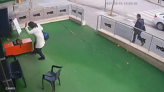 Başkent'te bir kadın hamile kediye önce vurdu sonra da elindeki çantayı fırlattı