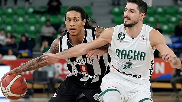 Basketbol Süper Ligi'nde kimler düştü?