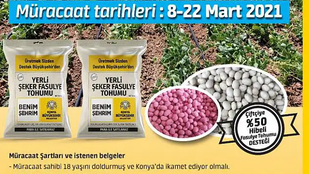 Başvurular başladı! Konya Büyükşehir'den üreticiye yerli şeker fasulye tohumu desteği