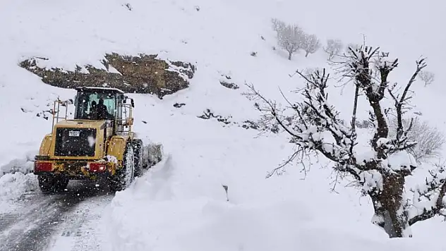 Batman'da 80'den fazla yerleşim yerinin yolu kar nedeniyle ulaşıma kapandı
