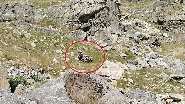 Batman'da bilirkişi ekibinin otomobili, şarampole yuvarlandı: 5 ölü