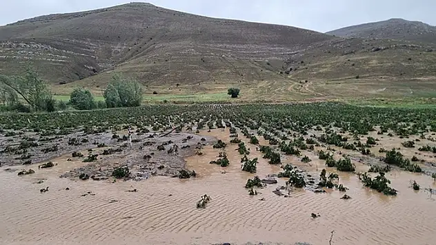 Bayburt'ta dolu ve sağanak ekili alanlara zarar verdi
