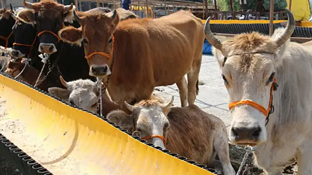 Bayram tatili kaç gün olacak?