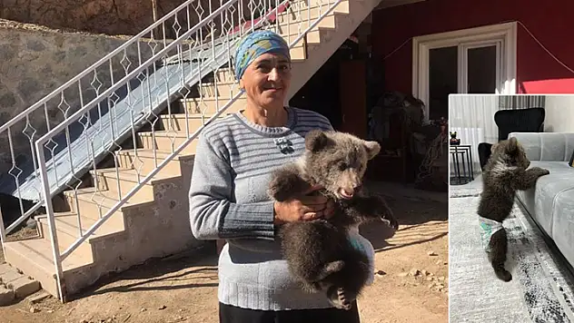 Bebek bezli yavru ayı 'Yogi' evin maskotu oldu
