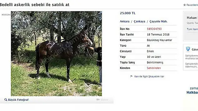 Bedelli'den satılık at,balık ve dumbell