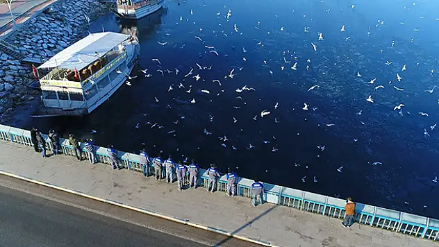 Belediye ekipleri Beyşehir Gölü'nde yaşam süren kuşları yem ve ekmekle besledi