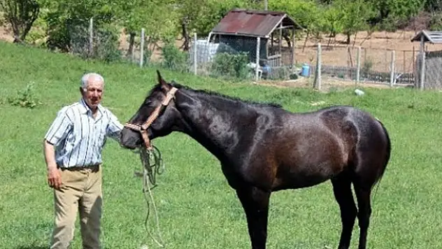 Beş bin lira maaşlı çoban işi bıraktı