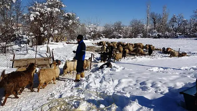 Besicilerin zorlu kış mesaisi başladı
