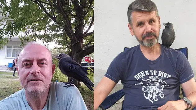 Besle kargayı, dostun olsun