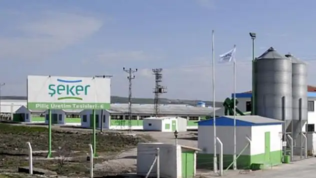 Beyaz et devi ikinci kez satışa çıktı