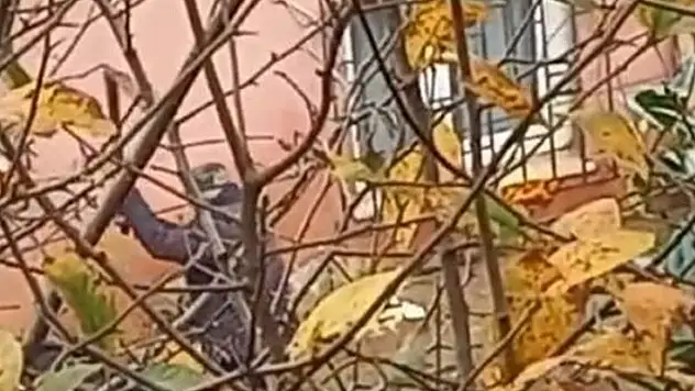 Beykoz'da köpeğine işkence eden cani gözaltında!
