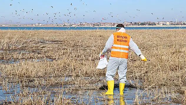 Beyşehir Belediyesi, ilçede larva ilaçlamalarına başladı