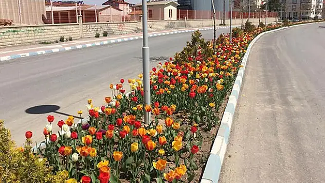 Beyşehir çiçeklerle süslendi