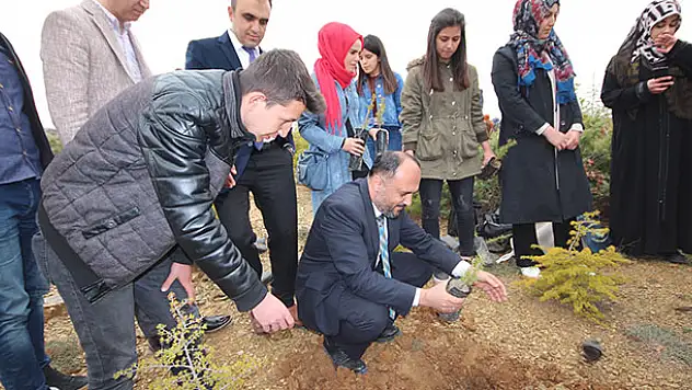 Beyşehir'de 2023 orman fidanı toprakla buluşturuldu