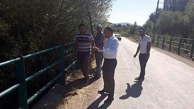 Beyşehir'de Ağaçlar Budanıyor