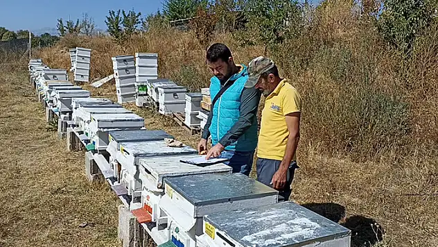 Beyşehir'de arılı kovan sayımları sürüyor
