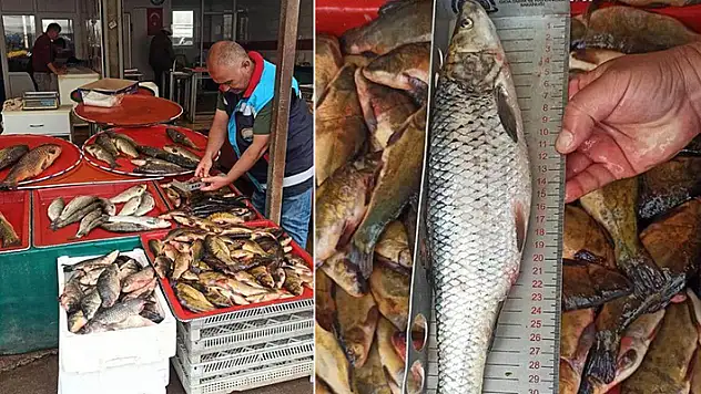 Beyşehir'de balık boyları denetlendi
