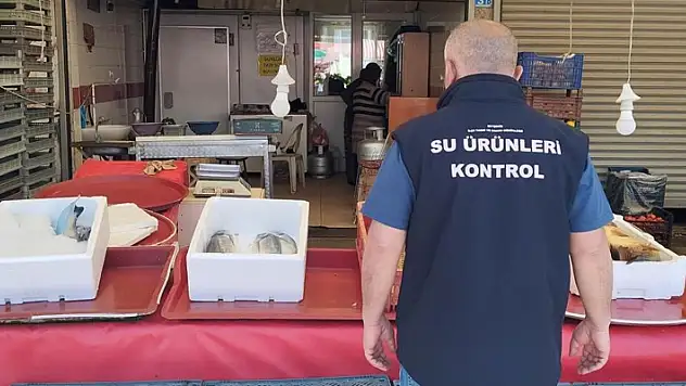 Beyşehir'de balık işleme tesisleri ile satış yerleri denetlendi
