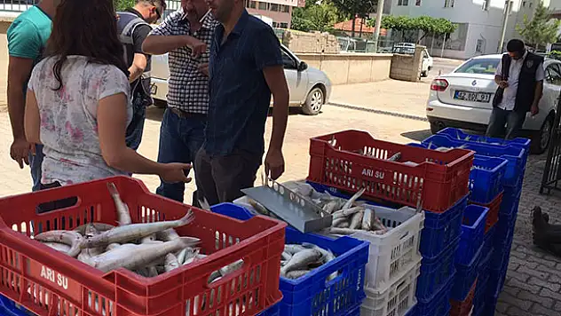 Beyşehir'de balık operasyonu
