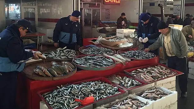 Beyşehir'de balık satıcılarına denetim