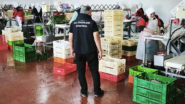 Beyşehir'de balıkçı işletmeleri denetlendi