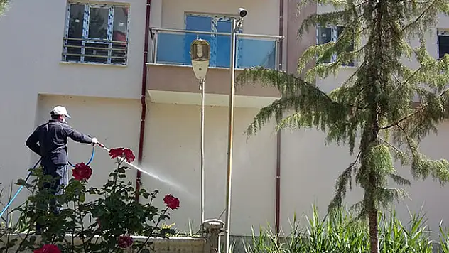 Beyşehir'de Belediyesinden tırtıl mücadelesi
