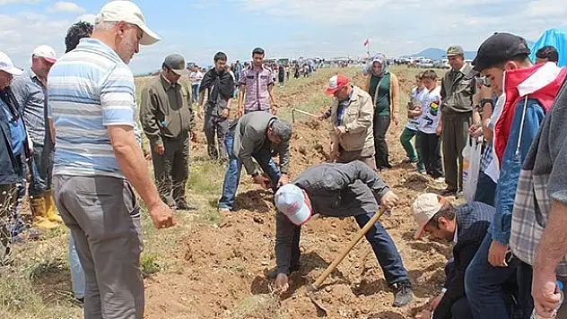 Beyşehir'de bin fidan toprakla buluştu