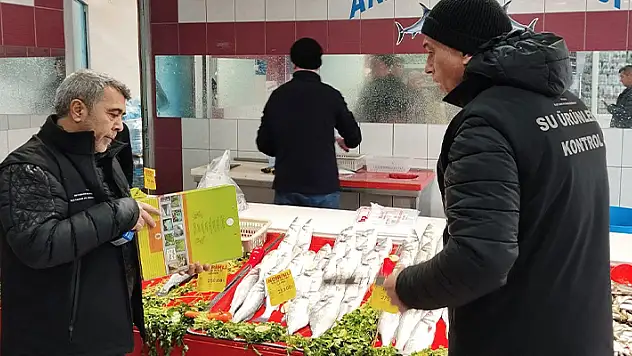Beyşehir'de boy limiti altında balık satışı yapanlara ceza uygulanıyor
