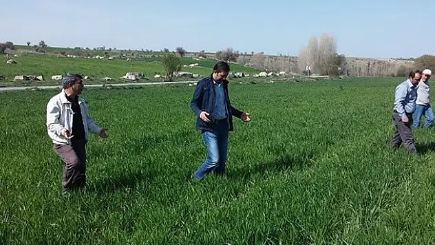 Beyşehir'de çiftçilere 'kımıl' uyarısı