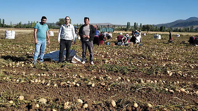 Beyşehir'de cipslik patates hasat mesaisi başladı
