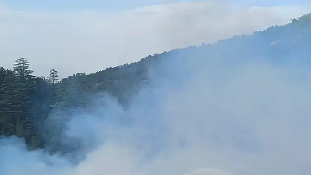 Beyşehir'de çöp toplama merkezinde çıkan yangın söndürüldü
