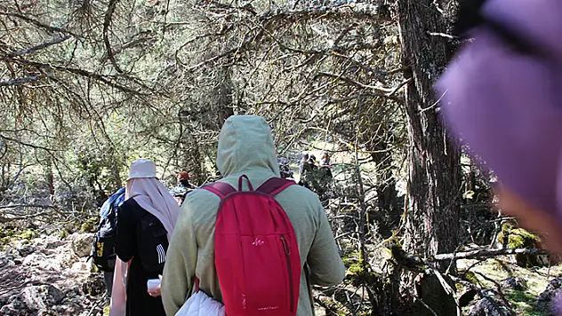 Beyşehir'de doğaseverlerden doğa yürüyüşü
