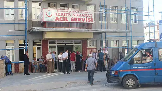 Beyşehir'de dut ağacından düşen kişi öldü
