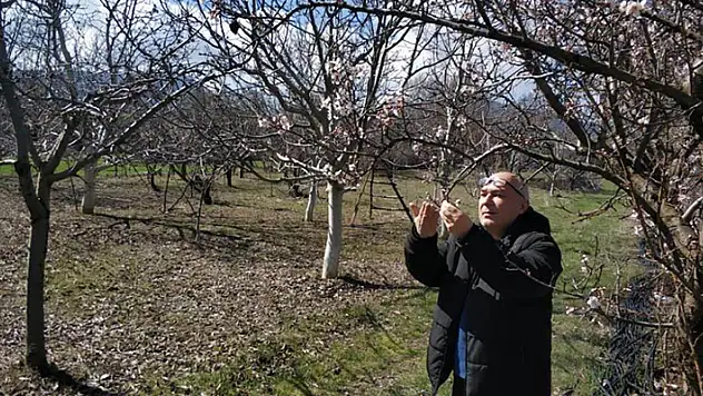 Beyşehir'de ekili alanlar ve meyve bahçelerinde hastalık taraması yapıldı
