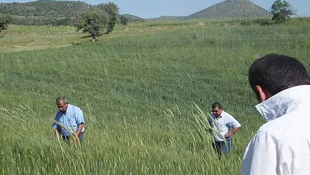Beyşehir'de Ekili Alanlara 43 Bin Parazitoit Bırakıldı