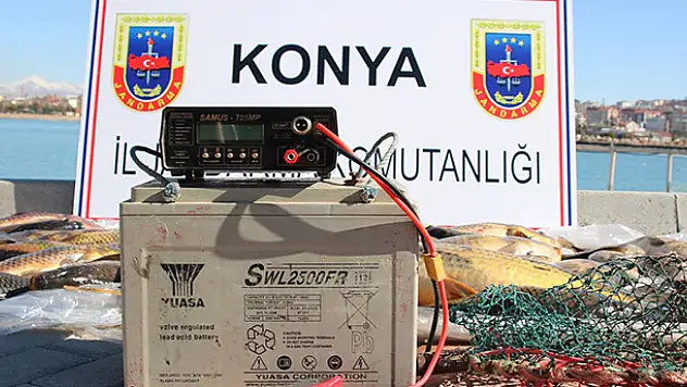 Beyşehir'de elektroşok cihazıyla balık avına ceza