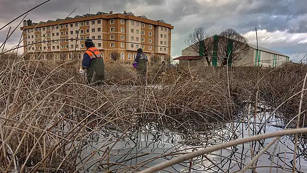 Beyşehir'de haşereyle larva dönemi mücadele ediliyor