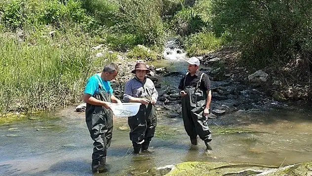 Beyşehir'de haşereyle mücadele çalışmaları sürüyor