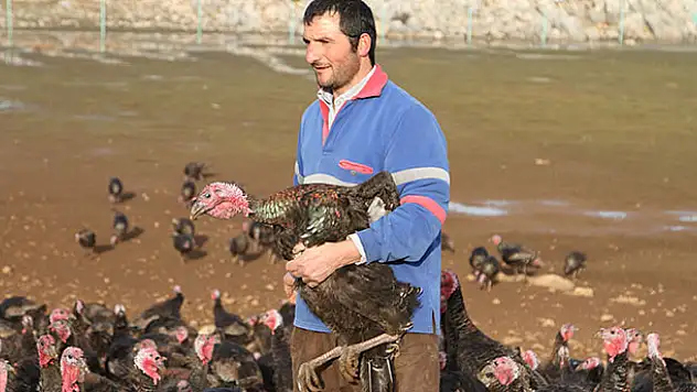 Beyşehir'de hindi fiyatları düştü